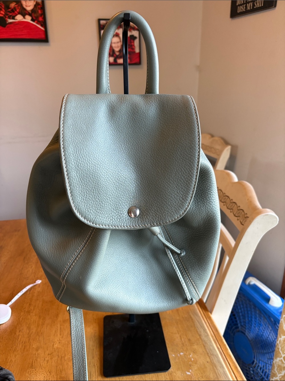 Coach Vintage Sage Green Backpack -